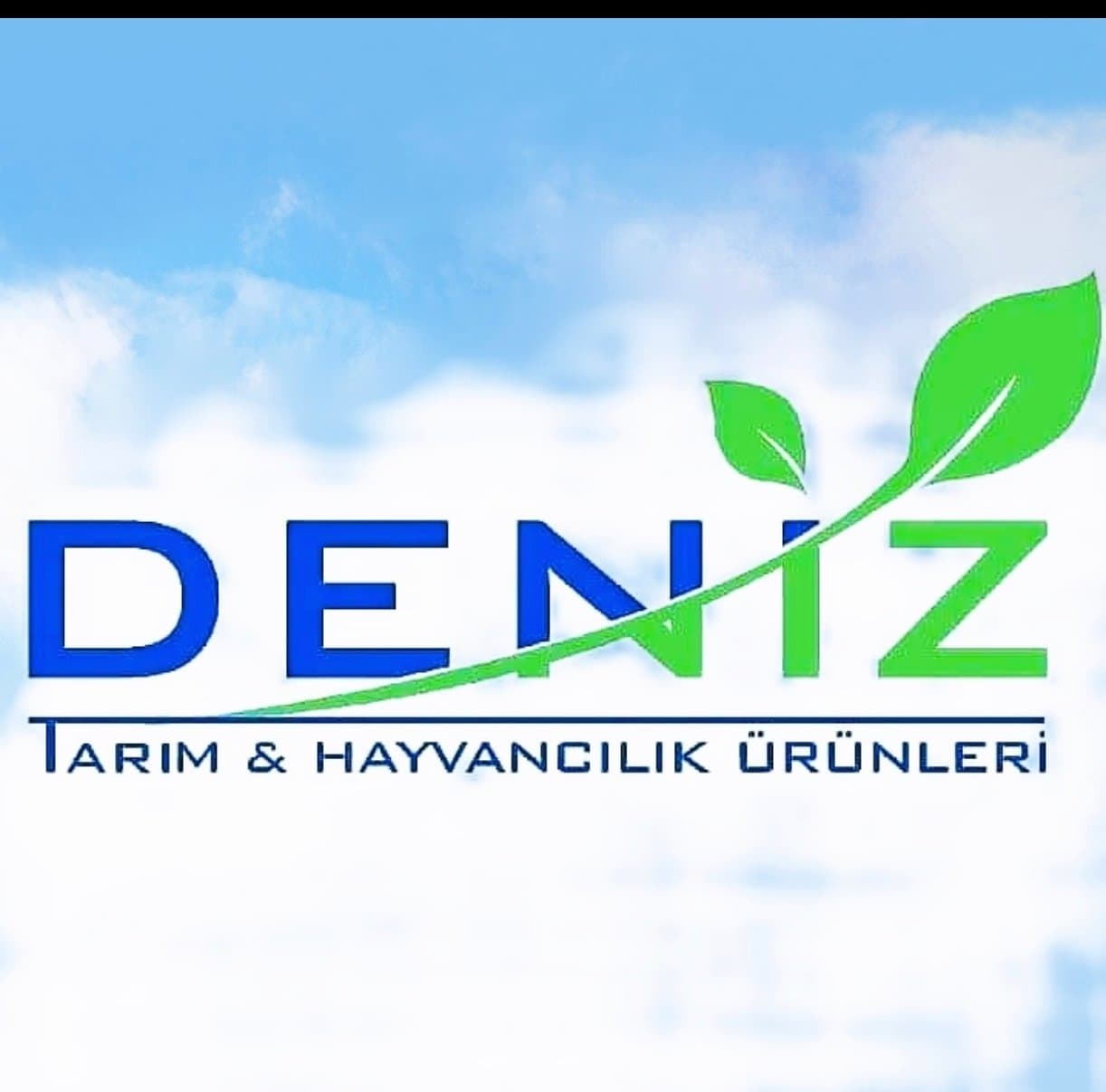 Nazilli Deniz yem